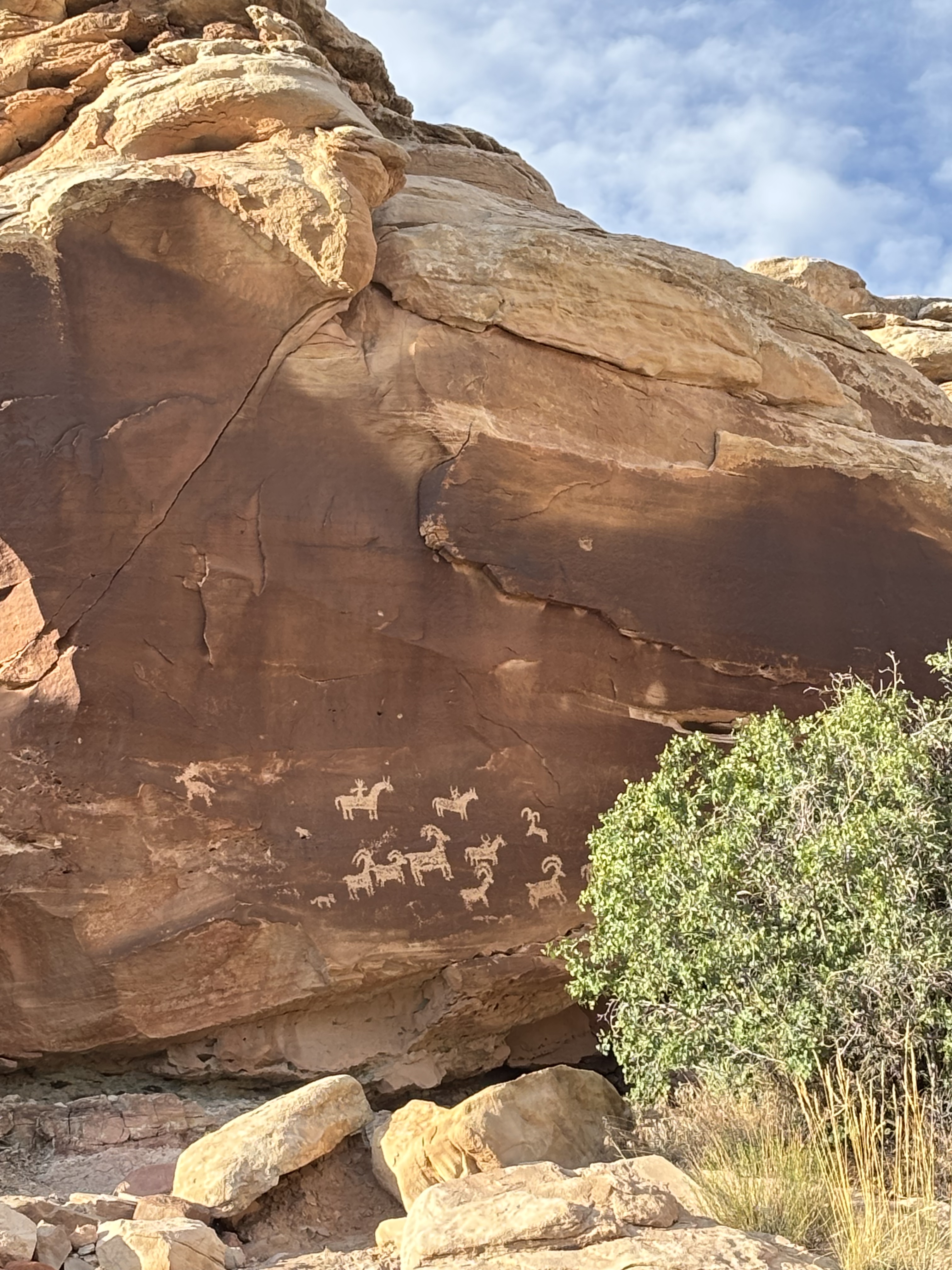 Petroglyphs