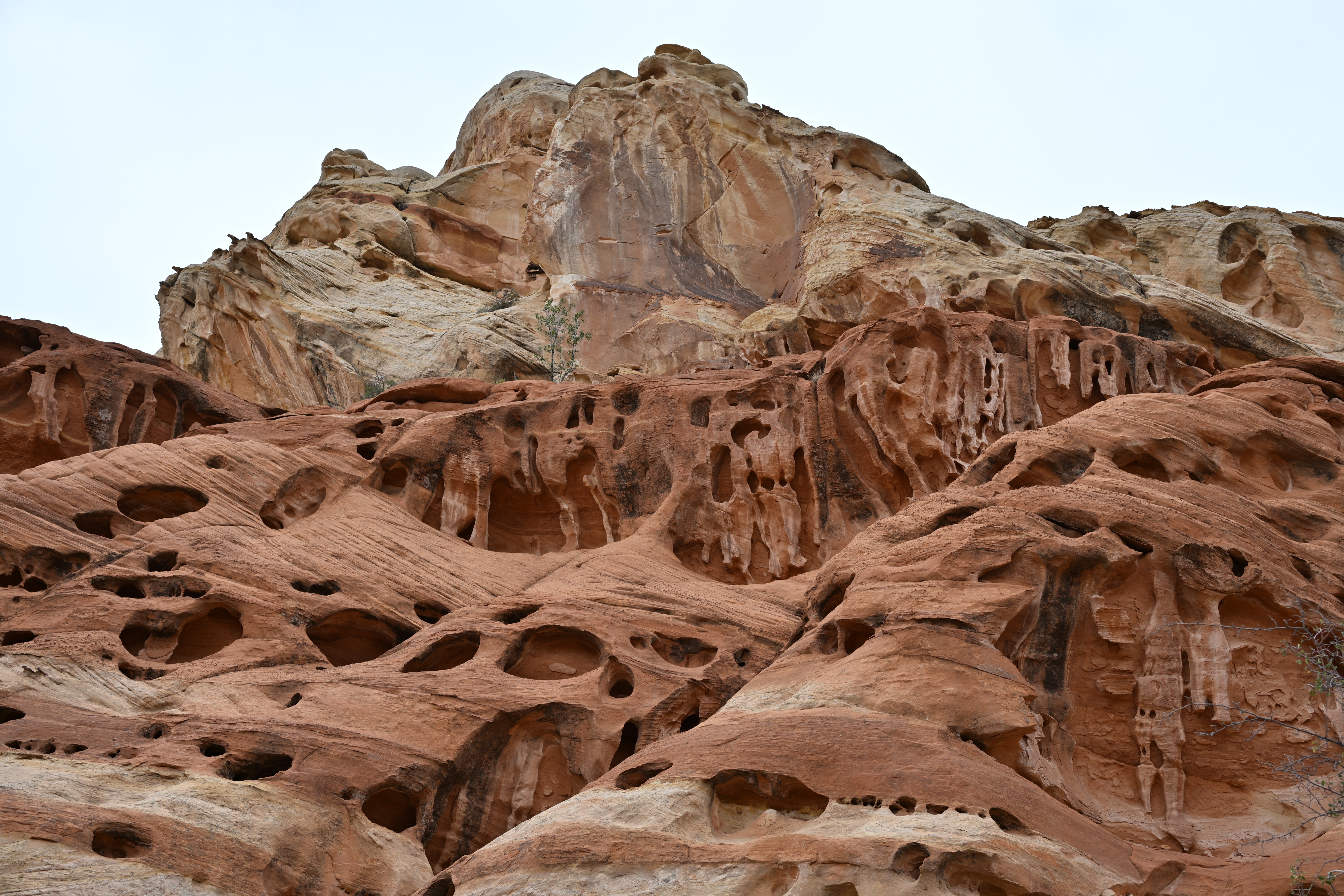 Capitol reef scenery