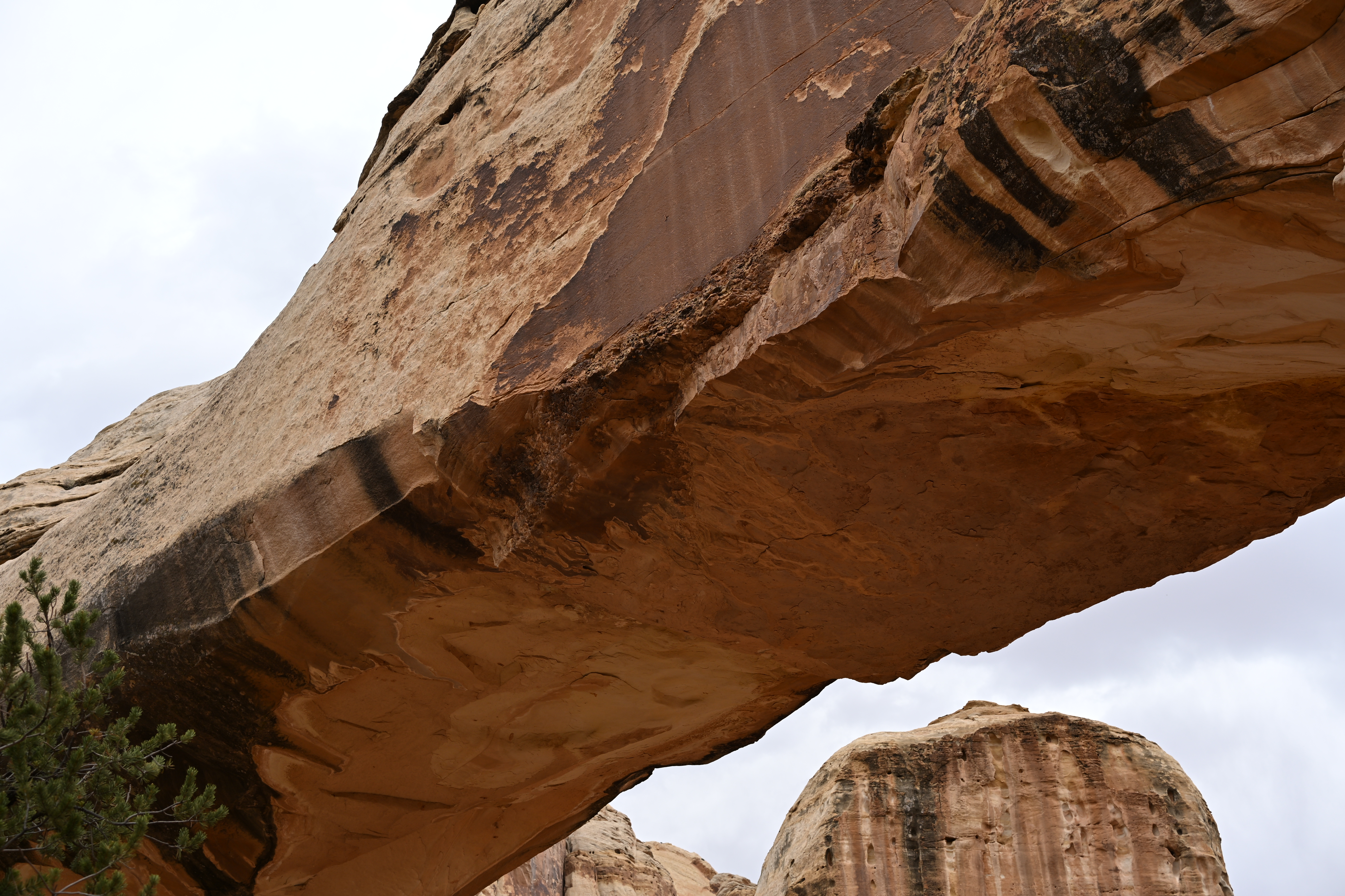 Hickman bridge