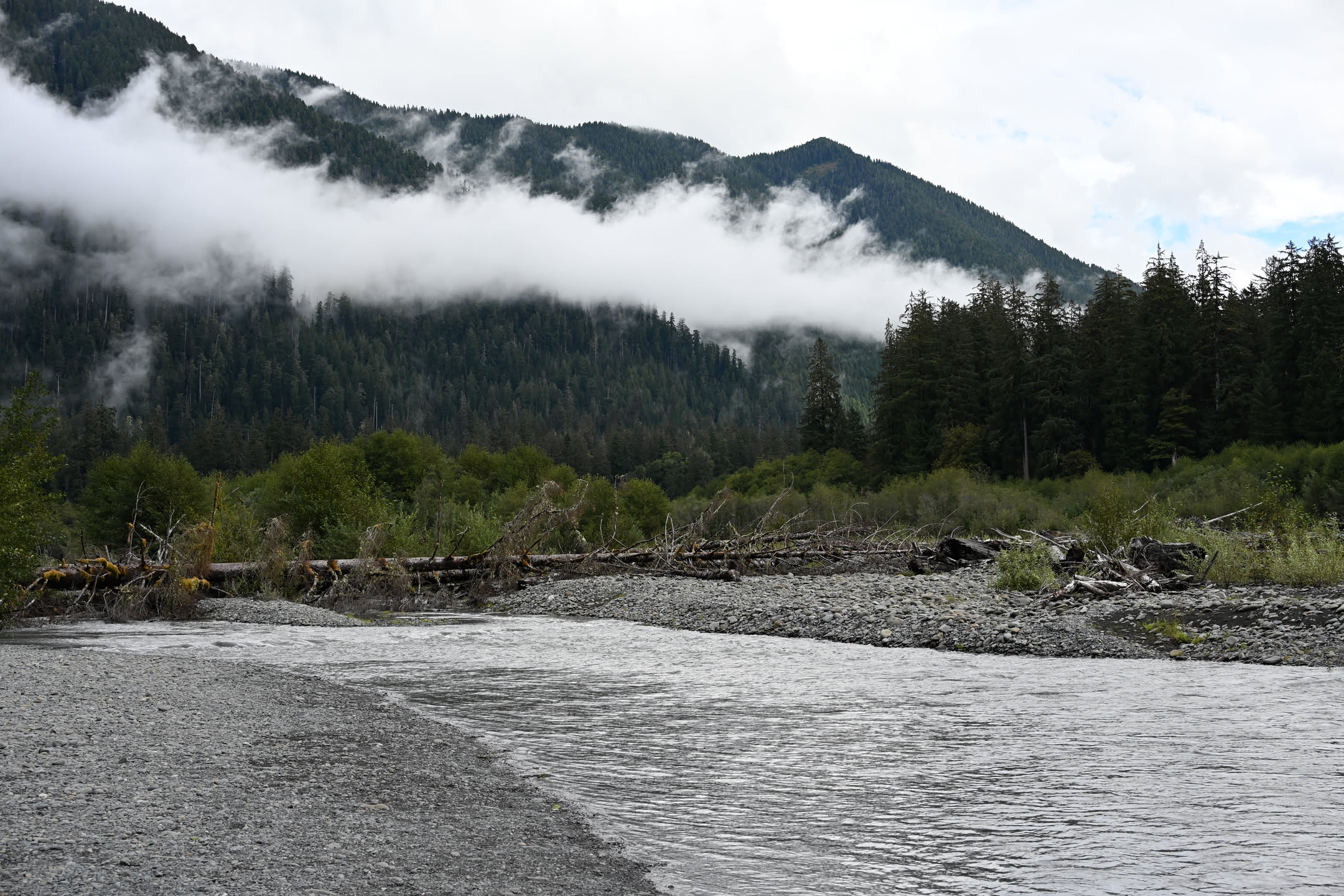 Hoh River flowing through Olympic National Park rainforest