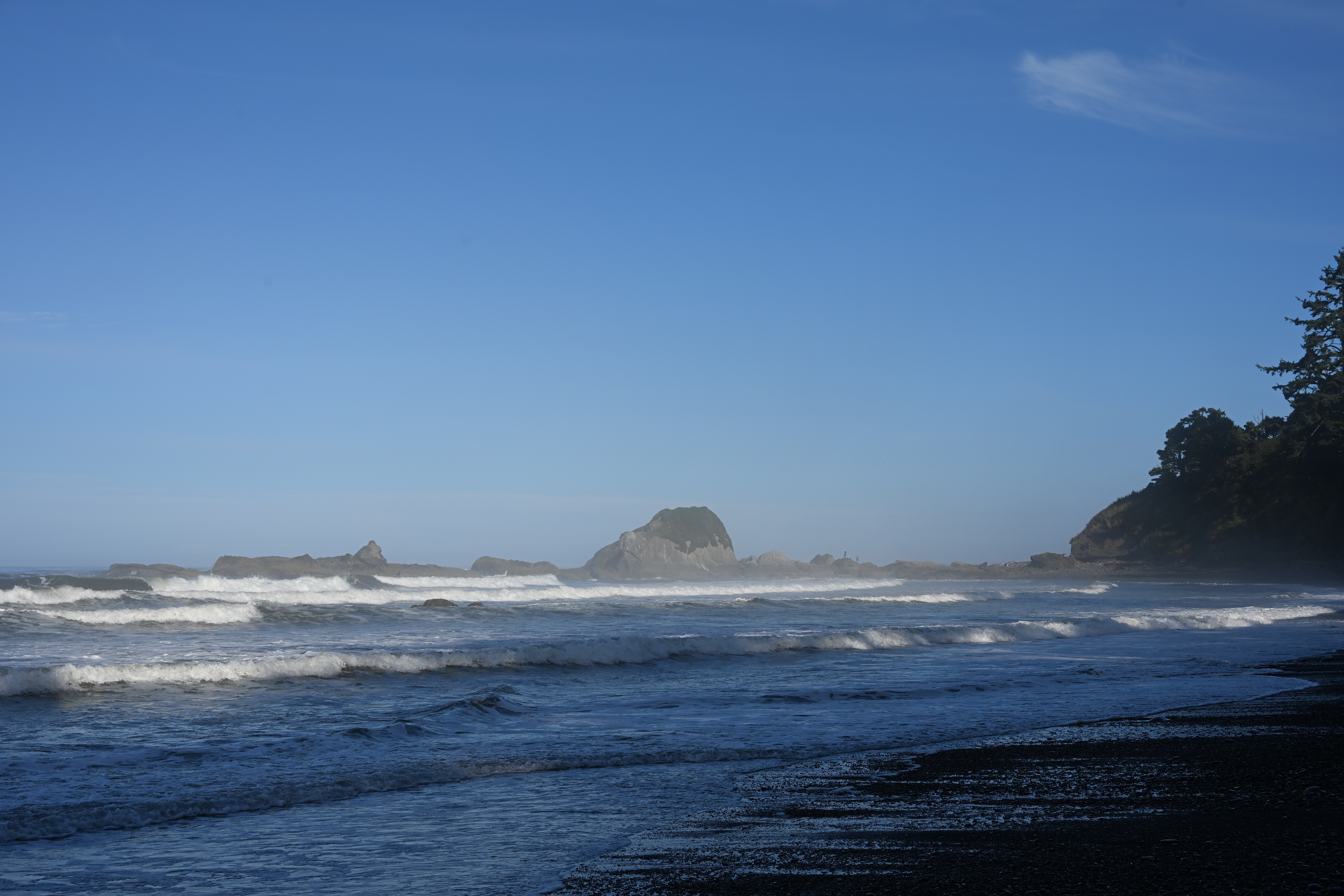 Rocky coastline and driftwood at Kalaloch Beach on Olympic Peninsula
