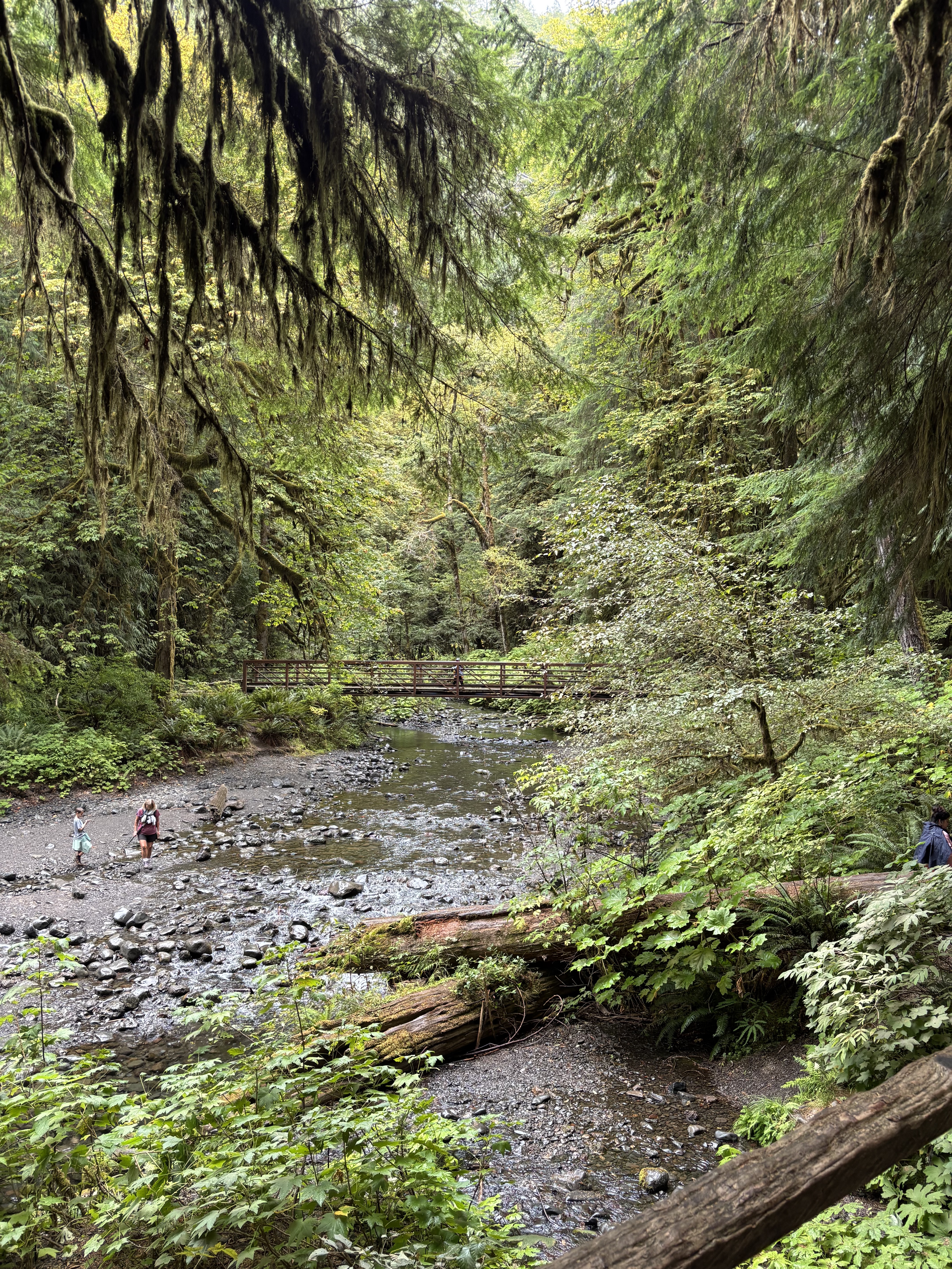 Stream flowing away from Marymere Falls