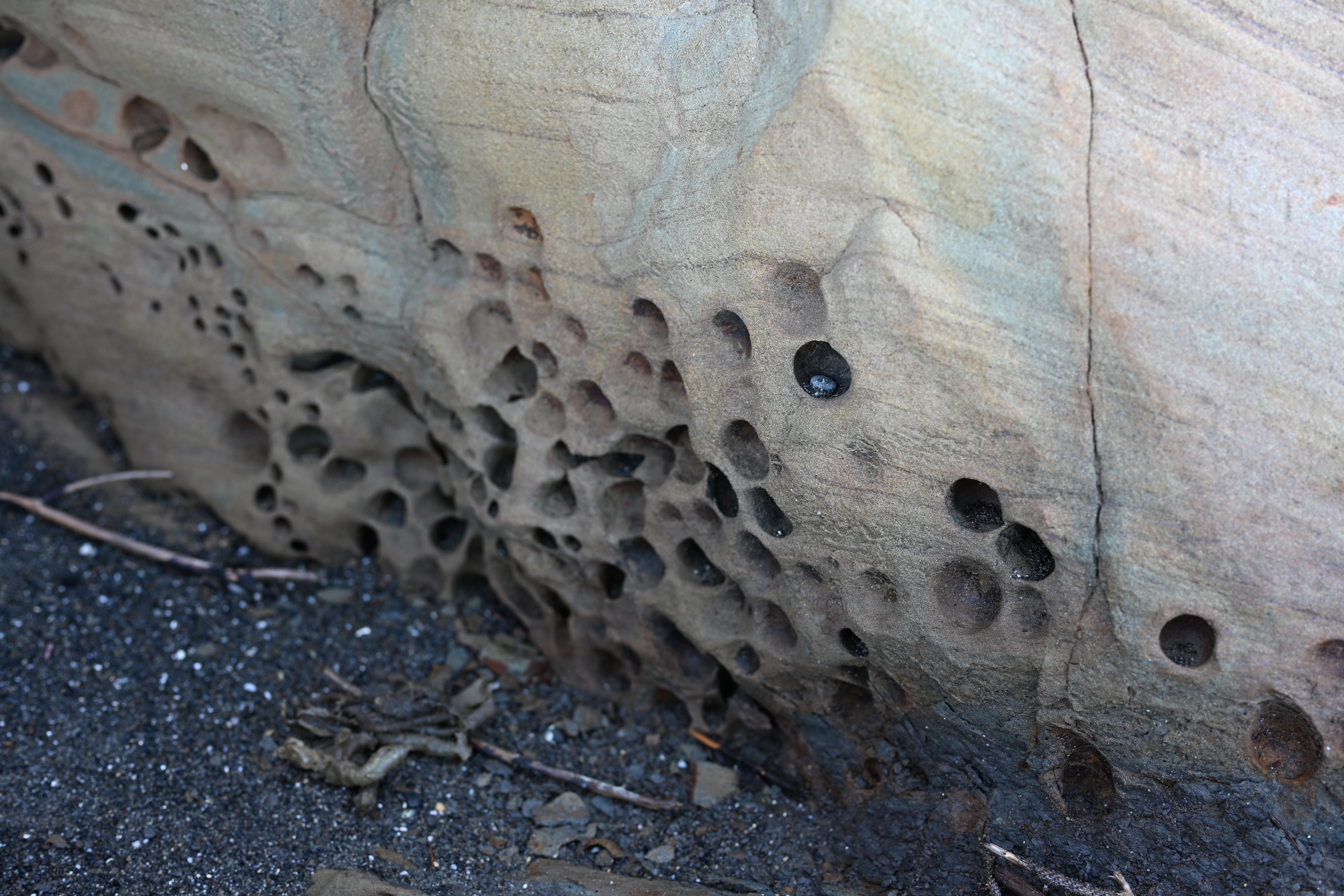 Natural holes and erosion patterns in coastal rock formations
