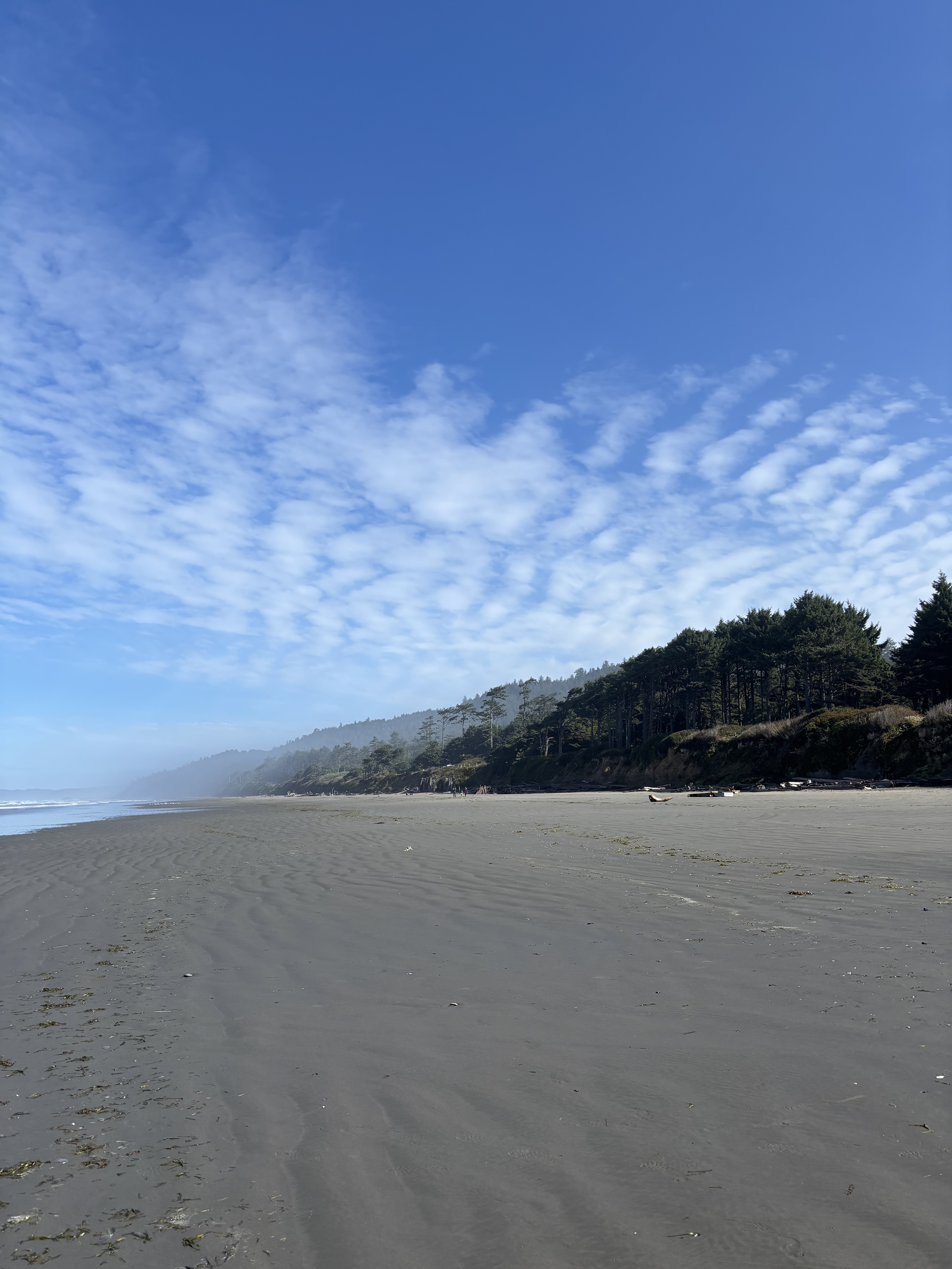 Wide expansive sandy beach at Kalaloch Campground area